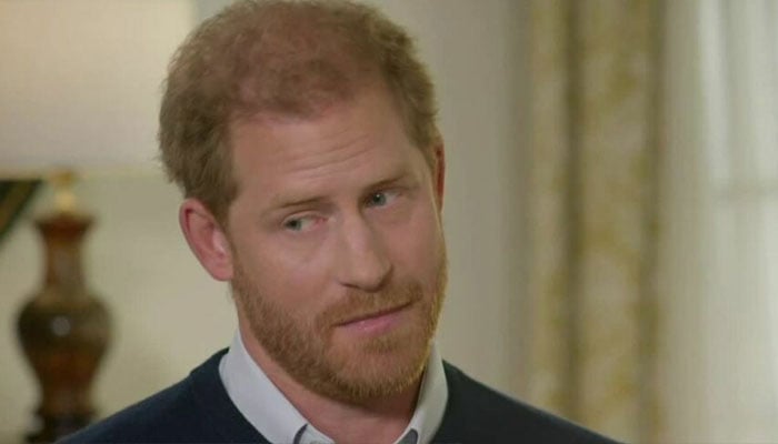 Prince Harry’s identity as an ‘instrument’ has been referenced by experts who believe he served the same role Princess Diana did.