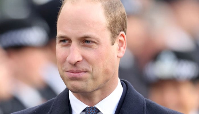 Prince William has been actively involved in numerous charitable initiatives and has shown dedication to public service throughout his life. He has also served in the British military and engaged in various philanthropic endeavors, particularly focusing on mental health awareness and environmental conservation.