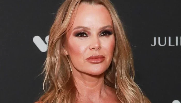 Amanda Holden has posted a heartfelt tribute on the 13th death anniversary of her stillborn son Theo.